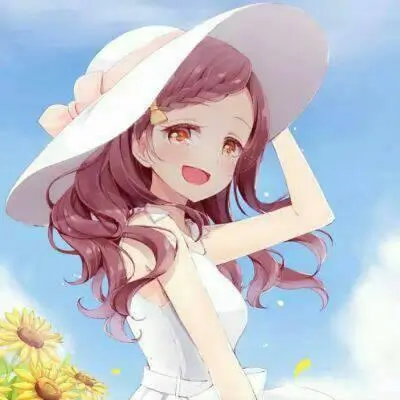 二次元老司机